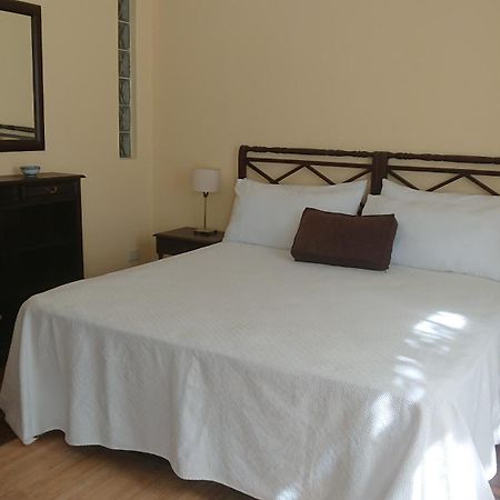 534 Petit San Telmo - Studio & Suites Буэнос-Айрес Экстерьер фото